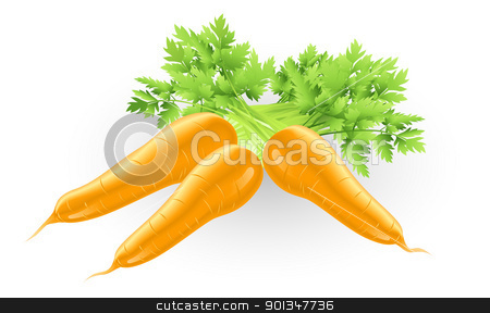 To use this stock image in your creative project, please select the size you need over to the right and click the "Add to Cart" button.
Your downloaded image will come with the Cutcaster watermark removed so don’t worry about the watermark you see on this page. Fresh tasty orange carrots illustration stock vector clipart, Illustration of some fresh tasty orange carrots by Christos Georghiou