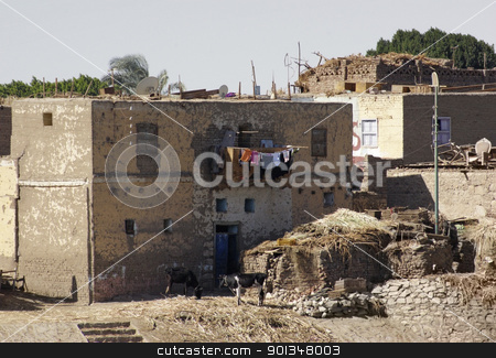 To use this stock image in your creative project, please select the size you need over to the right and click the "Add to Cart" button.
Your downloaded image will come with the Cutcaster watermark removed so don’t worry about the watermark you see on this page. rural scenery in Egypt stock photo, rural scenery with low-grade houses in Egypt (Africa) at evening time by prill