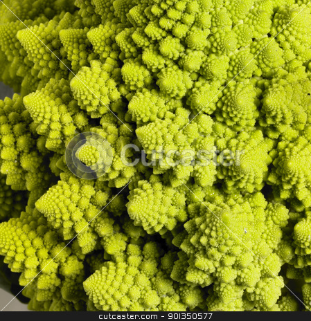 To use this stock image in your creative project, please select the size you need over to the right and click the "Add to Cart" button.
Your downloaded image will come with the Cutcaster watermark removed so don’t worry about the watermark you see on this page. abstract romanesco cauliflower stock photo, abstract full frame background with a romanesco cauliflower closeup by prill