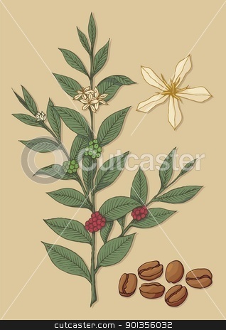 To use this stock image in your creative project, please select the size you need over to the right and click the "Add to Cart" button.
Your downloaded image will come with the Cutcaster watermark removed so don’t worry about the watermark you see on this page. Coffee tree stock vector clipart, A branch of coffee tree with flower and beans on beige background. by fractal.gr