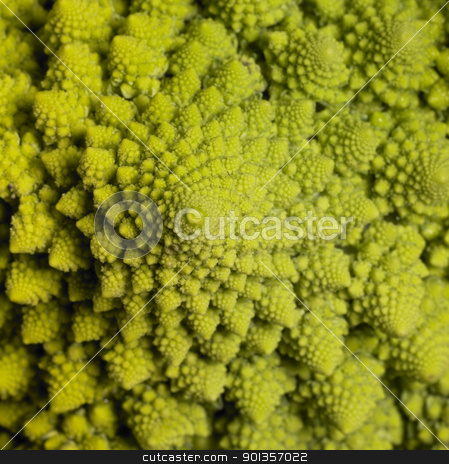 To use this stock image in your creative project, please select the size you need over to the right and click the "Add to Cart" button.
Your downloaded image will come with the Cutcaster watermark removed so don’t worry about the watermark you see on this page. abstract romanesco cauliflower stock photo, abstract full frame background with a romanesco cauliflower closeup by prill