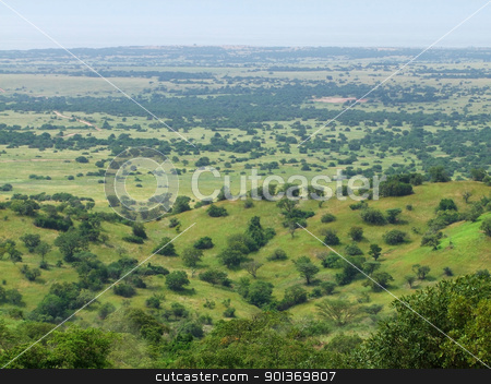 To use this stock image in your creative project, please select the size you need over to the right and click the "Add to Cart" button.
Your downloaded image will come with the Cutcaster watermark removed so don’t worry about the watermark you see on this page. aerial view of the Kabwoya Wildlife Reserve stock photo, sunny aerial view of the Kabwoya Wildlife Reserve in Uganda (Africa) by prill