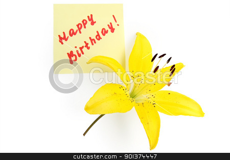 To use this stock image in your creative project, please select the size you need over to the right and click the "Add to Cart" button.
Your downloaded image will come with the Cutcaster watermark removed so don’t worry about the watermark you see on this page. Congratulations on a scrap of paper with a lily stock photo, Congratulations on a yellow piece of paper with a yellow lily isolated on white background by rezkrr