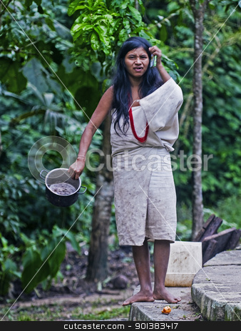 To use this stock image in your creative project, please select the size you need over to the right and click the "Add to Cart" button.
Your downloaded image will come with the Cutcaster watermark removed so don’t worry about the watermark you see on this page. Indian woman stock photo, TAYRONA PARK , COLOMBIA - DECEMBER 17 2010 : Native Indian woman in a village in