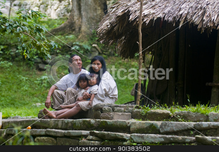 To use this stock image in your creative project, please select the size you need over to the right and click the "Add to Cart" button.
Your downloaded image will come with the Cutcaster watermark removed so don’t worry about the watermark you see on this page. Indian family stock photo, TAYRONA PARK , COLOMBIA - DECEMBER 17 2010 : Indian family sit together at home in a village in