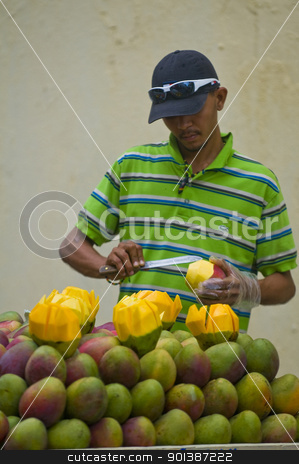 To use this stock image in your creative project, please select the size you need over to the right and click the "Add to Cart" button.
Your downloaded image will come with the Cutcaster watermark removed so don’t worry about the watermark you see on this page. Colombian fruit seller stock photo, CARTAGENA DE INDIAS , COLOMBIA - DEC 21:Unidentified colombian man sell fruits in the street of Cartagena de Indias on December 21 2010 by Kobby Dagan