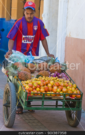 To use this stock image in your creative project, please select the size you need over to the right and click the "Add to Cart" button.
Your downloaded image will come with the Cutcaster watermark removed so don’t worry about the watermark you see on this page. Colombian fruit seller stock photo, CARTAGENA DE INDIAS , COLOMBIA - DEC 20:Unidentified colombian man sell fruits in the street in Cartagena de Indias on December 20 2010 by Kobby Dagan
