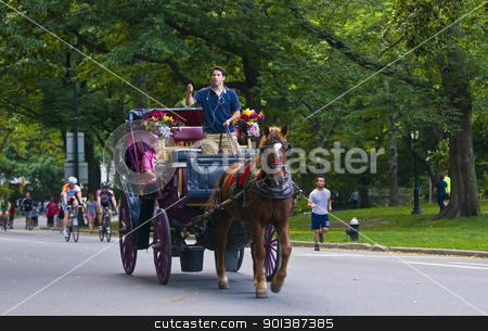 To use this stock image in your creative project, please select the size you need over to the right and click the "Add to Cart" button.
Your downloaded image will come with the Cutcaster watermark removed so don’t worry about the watermark you see on this page. Central park stock photo, NEW YORK - JUNE 28 2011 : Horse drawn carrige riding through Central park in Manhattan. by Kobby Dagan