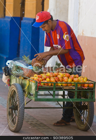 To use this stock image in your creative project, please select the size you need over to the right and click the "Add to Cart" button.
Your downloaded image will come with the Cutcaster watermark removed so don’t worry about the watermark you see on this page. Colombian fruit seller stock photo, CARTAGENA DE INDIAS , COLOMBIA - DEC 20:Unidentified colombian man sell fruits in the street in Cartagena de Indias on December 20 2010 by Kobby Dagan