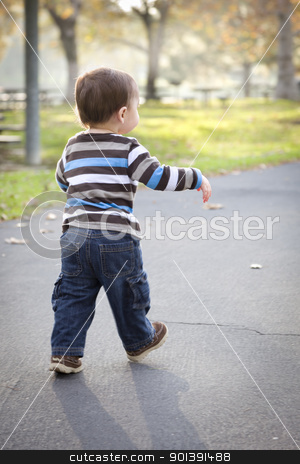 To use this stock image in your creative project, please select the size you need over to the right and click the "Add to Cart" button.
Your downloaded image will come with the Cutcaster watermark removed so don’t worry about the watermark you see on this page. Young Baby Boy Walking in the Park stock photo, Happy Young Baby Boy Walking in the Park. by Andy Dean