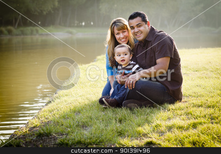 To use this stock image in your creative project, please select the size you need over to the right and click the "Add to Cart" button.
Your downloaded image will come with the Cutcaster watermark removed so don’t worry about the watermark you see on this page. Happy Mixed Race Ethnic Family Posing for A Portrait stock photo, Happy Mixed Race Ethnic Family Posing for A Portrait in the Park. by Andy Dean