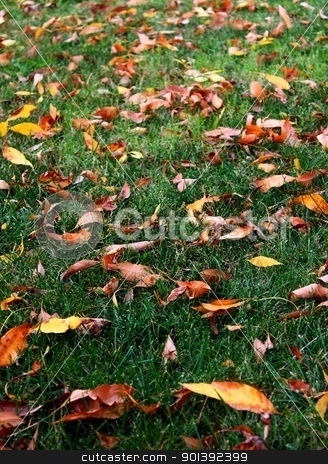 To use this stock image in your creative project, please select the size you need over to the right and click the "Add to Cart" button.
Your downloaded image will come with the Cutcaster watermark removed so don’t worry about the watermark you see on this page. Grass Leaves Autumn stock photo, Green grass with a blanked of orange autumn leafs by Henrik Lehnerer