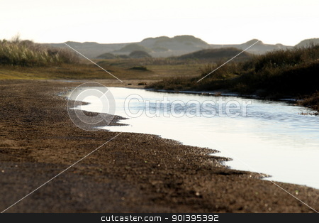 To use this stock image in your creative project, please select the size you need over to the right and click the "Add to Cart" button.
Your downloaded image will come with the Cutcaster watermark removed so don’t worry about the watermark you see on this page. wetland stock photo, wetland near the Ormond Beach california oxnard by Henrik Lehnerer