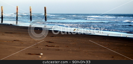 To use this stock image in your creative project, please select the size you need over to the right and click the "Add to Cart" button.
Your downloaded image will come with the Cutcaster watermark removed so don’t worry about the watermark you see on this page. Beach Fence stock photo, sunset at Ormond Beach with beautiful sky and blue water by Henrik Lehnerer