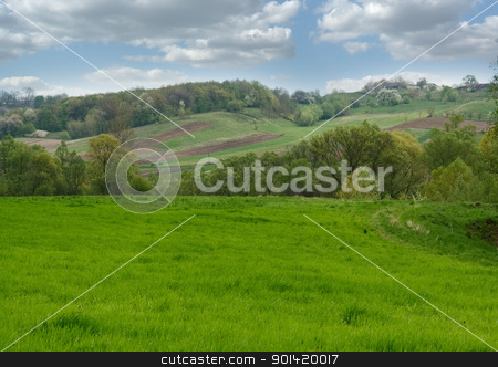 To use this stock image in your creative project, please select the size you need over to the right and click the "Add to Cart" button.
Your downloaded image will come with the Cutcaster watermark removed so don’t worry about the watermark you see on this page. Hills stock photo, Green hills by vtorous