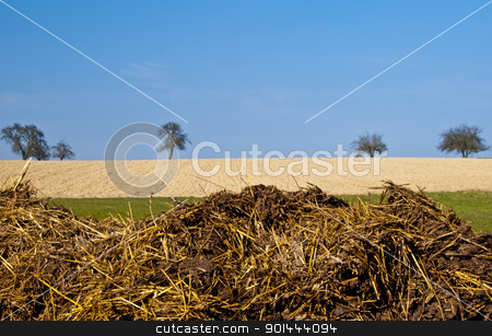 To use this stock image in your creative project, please select the size you need over to the right and click the "Add to Cart" button.
Your downloaded image will come with the Cutcaster watermark removed so don’t worry about the watermark you see on this page. dung hill stock photo, dung hill with a blue sky by Hans-Joachim Schneider