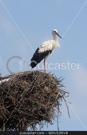 To use this stock image in your creative project, please select the size you need over to the right and click the "Add to Cart" button.
Your downloaded image will come with the Cutcaster watermark removed so don’t worry about the watermark you see on this page. Stork in its nest stock photo, Stork in its nest over a clear blue backround by Zvonimir Atletic