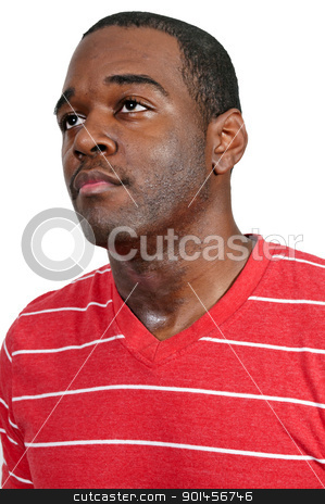 To use this stock image in your creative project, please select the size you need over to the right and click the "Add to Cart" button.
Your downloaded image will come with the Cutcaster watermark removed so don’t worry about the watermark you see on this page. Black Man stock photo, An attractive handsome African American black man by Robert Byron