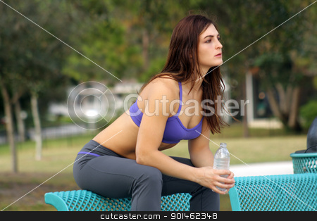 To use this stock image in your creative project, please select the size you need over to the right and click the "Add to Cart" button.
Your downloaded image will come with the Cutcaster watermark removed so don’t worry about the watermark you see on this page. Beautiful Female Athlete Outdoors (7) stock photo, A lovely young brunette athlete pauses with bottled water, sitting on the back of a park bench. by Carl Stewart
