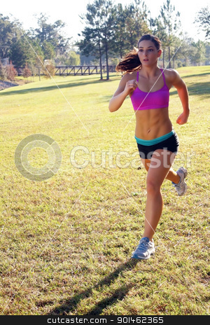 To use this stock image in your creative project, please select the size you need over to the right and click the "Add to Cart" button.
Your downloaded image will come with the Cutcaster watermark removed so don’t worry about the watermark you see on this page. Beautiful Brunette Jogging Outdoors (3) stock photo, A lovely young athlete with remarkable abdominal musculature jogging outdoors. Generous copyspace. by Carl Stewart