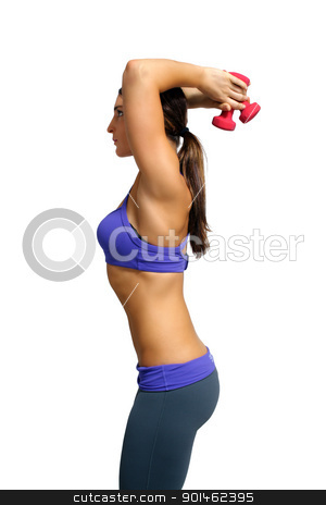 To use this stock image in your creative project, please select the size you need over to the right and click the "Add to Cart" button.
Your downloaded image will come with the Cutcaster watermark removed so don’t worry about the watermark you see on this page. Beautiful Brunette Athlete with Hand Weights (3) stock photo, A lovely young brunette with extraordinary abdominal musculature works out with hand weights; profile view. by Carl Stewart