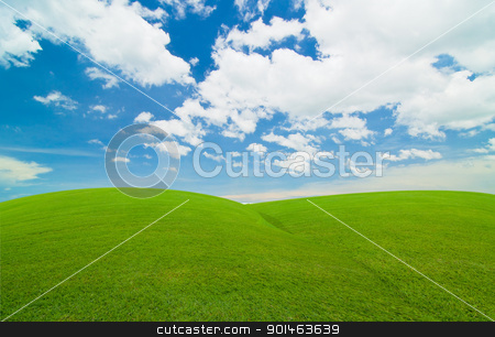 To use this stock image in your creative project, please select the size you need over to the right and click the "Add to Cart" button.
Your downloaded image will come with the Cutcaster watermark removed so don’t worry about the watermark you see on this page. blue sky and green field stock photo, blue sky and green field by Komkrit Muangchan