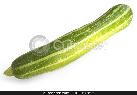 To use this stock image in your creative project, please select the size you need over to the right and click the "Add to Cart" button.
Your downloaded image will come with the Cutcaster watermark removed so don’t worry about the watermark you see on this page. Squash stock photo, One green striped zucchini isolated on a white background by rezkrr