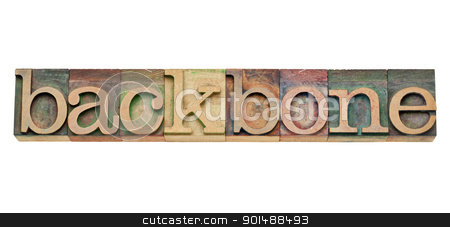 To use this stock image in your creative project, please select the size you need over to the right and click the "Add to Cart" button.
Your downloaded image will come with the Cutcaster watermark removed so don’t worry about the watermark you see on this page. backbone - computer network concept stock photo, backbone - computer network concept - isolated text in vintage wood letterpress printing blocks, stained by color inks by Marek Uliasz