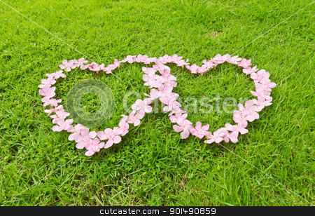 To use this stock image in your creative project, please select the size you need over to the right and click the "Add to Cart" button.
Your downloaded image will come with the Cutcaster watermark removed so don’t worry about the watermark you see on this page. Pink flower love heart stock photo, Pink flower love heart frame isolated on Green grass background by stoonn