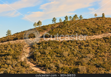 To use this stock image in your creative project, please select the size you need over to the right and click the "Add to Cart" button.
Your downloaded image will come with the Cutcaster watermark removed so don’t worry about the watermark you see on this page. Hill Roads stock photo, Detail of an Hill with gravel crossroad and pine trees by Paulo M.F. Pires