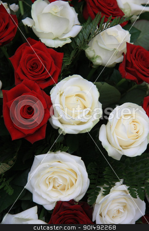 To use this stock image in your creative project, please select the size you need over to the right and click the "Add to Cart" button.
Your downloaded image will come with the Cutcaster watermark removed so don’t worry about the watermark you see on this page. big white and red rose flower arrangement stock photo, big red and white roses in a flower arrangement by Porto Sabbia