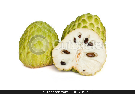 To use this stock image in your creative project, please select the size you need over to the right and click the "Add to Cart" button.
Your downloaded image will come with the Cutcaster watermark removed so don’t worry about the watermark you see on this page. Custard-apple stock photo, Tropical custard apple fruit on white background by stoonn