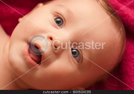 To use this stock image in your creative project, please select the size you need over to the right and click the "Add to Cart" button.
Your downloaded image will come with the Cutcaster watermark removed so don’t worry about the watermark you see on this page. baby boy stock photo, lying pretty funny baby boy closeup portrait by olinchuk