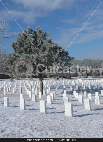 To use this stock image in your creative project, please select the size you need over to the right and click the "Add to Cart" button.
Your downloaded image will come with the Cutcaster watermark removed so don’t worry about the watermark you see on this page. Frost cover tree at a Cemetery stock photo, A Frost covered tree at a National Cemetery by Jan Nickelson