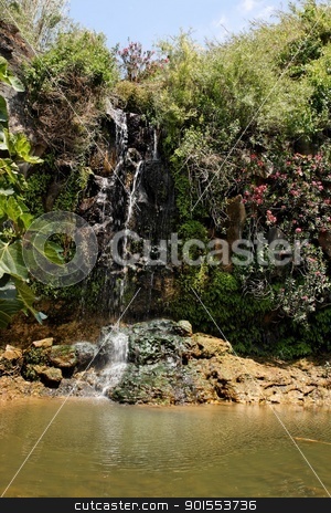 To use this stock image in your creative project, please select the size you need over to the right and click the "Add to Cart" button.
Your downloaded image will come with the Cutcaster watermark removed so don’t worry about the watermark you see on this page. Waterfall falls over black basalt rocks among bushes and flowers stock photo, Waterfall falls over black basalt rocks among bushes and flowers by Shlomo Polonsky