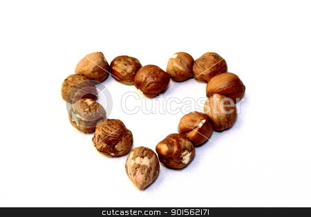 To use this stock image in your creative project, please select the size you need over to the right and click the "Add to Cart" button.
Your downloaded image will come with the Cutcaster watermark removed so don’t worry about the watermark you see on this page. squirrel dream stock photo, these hazelnuts are perfect for a squirrel as well as for a cake by coroiu octavian