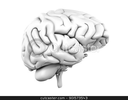 To use this stock image in your creative project, please select the size you need over to the right and click the "Add to Cart" button.
Your downloaded image will come with the Cutcaster watermark removed so don’t worry about the watermark you see on this page. Human Brain stock photo, A human brain. Medical. 3D rendered Illustration. by Michael Osterrieder