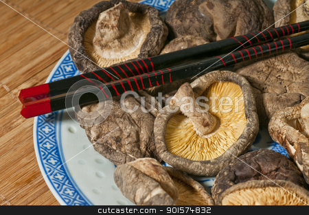 To use this stock image in your creative project, please select the size you need over to the right and click the "Add to Cart" button.
Your downloaded image will come with the Cutcaster watermark removed so don’t worry about the watermark you see on this page. shiitake mushroom stock photo, shiitake mushroom by Hans-Joachim Schneider