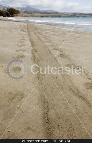 To use this stock image in your creative project, please select the size you need over to the right and click the "Add to Cart" button.
Your downloaded image will come with the Cutcaster watermark removed so don’t worry about the watermark you see on this page. Trail from Elephant Seal on Ocean Shore Sand stock photo, Trail from Elephant Seal on Ocean Front Shore Sand. by Andy Dean