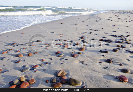 To use this stock image in your creative project, please select the size you need over to the right and click the "Add to Cart" button.
Your downloaded image will come with the Cutcaster watermark removed so don’t worry about the watermark you see on this page. background of seashore little stones reflection stock photo, background of seashore little stones beautiful reflections of sun. sea waves beating coast with sand. by sauletas