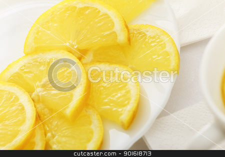To use this stock image in your creative project, please select the size you need over to the right and click the "Add to Cart" button.
Your downloaded image will come with the Cutcaster watermark removed so don’t worry about the watermark you see on this page. lemon slices on a dish stock photo, lemon slices on a white dish by Petr Malyshev