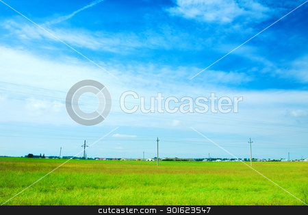 To use this stock image in your creative project, please select the size you need over to the right and click the "Add to Cart" button.
Your downloaded image will come with the Cutcaster watermark removed so don’t worry about the watermark you see on this page. Sunny Meadow stock photo, field of grass and perfect sky, Belarus by Petr Malyshev