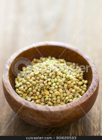 To use this stock image in your creative project, please select the size you need over to the right and click the "Add to Cart" button.
Your downloaded image will come with the Cutcaster watermark removed so don’t worry about the watermark you see on this page. coriander seeds stock photo, close up of a bowl of coriander seeds by zkruger