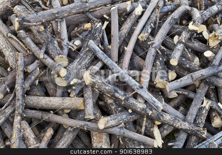 To use this stock image in your creative project, please select the size you need over to the right and click the "Add to Cart" button.
Your downloaded image will come with the Cutcaster watermark removed so don’t worry about the watermark you see on this page. pile of sticks stock photo, a pile of cut sticks and dried branches - backyard background by Marek Uliasz