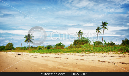 To use this stock image in your creative project, please select the size you need over to the right and click the "Add to Cart" button.
Your downloaded image will come with the Cutcaster watermark removed so don’t worry about the watermark you see on this page. Sunny Beach stock photo, sand beach with palms, Andaman Sea, Thailand by Petr Malyshev