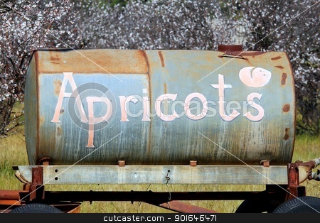 To use this stock image in your creative project, please select the size you need over to the right and click the "Add to Cart" button.
Your downloaded image will come with the Cutcaster watermark removed so don’t worry about the watermark you see on this page. Apricots stock photo, Apricot advertisement on an old water tank hanger. by Henrik Lehnerer