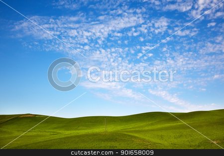 To use this stock image in your creative project, please select the size you need over to the right and click the "Add to Cart" button.
Your downloaded image will come with the Cutcaster watermark removed so don’t worry about the watermark you see on this page. Green Wheat Grass Blue Skies Telephone Pole Palouse Washington stock photo, Green Wheat Grass Fields Blue Skies Telephone Pole Palouse Washington State Pacific Northwest by William Perry
