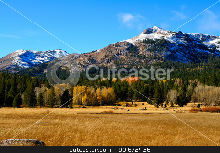 To use this stock image in your creative project, please select the size you need over to the right and click the "Add to Cart" button.
Your downloaded image will come with the Cutcaster watermark removed so don’t worry about the watermark you see on this page. Fall Season In The Sierras stock photo, An early snowfall covers the mountains in the distance with assorted foliage in fall colors in the foreground located in Hope Valley California by Lynn Bendickson