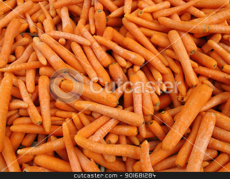To use this stock image in your creative project, please select the size you need over to the right and click the "Add to Cart" button.
Your downloaded image will come with the Cutcaster watermark removed so don’t worry about the watermark you see on this page. Lots of raw carrots close up. stock photo, Lots of raw carrots close up. by Stephen Rees
