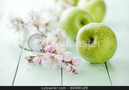 To use this stock image in your creative project, please select the size you need over to the right and click the "Add to Cart" button.
Your downloaded image will come with the Cutcaster watermark removed so don’t worry about the watermark you see on this page. green apples stock photo, fresh green apples with water drops, shallow dof by Liv Friis-Larsen